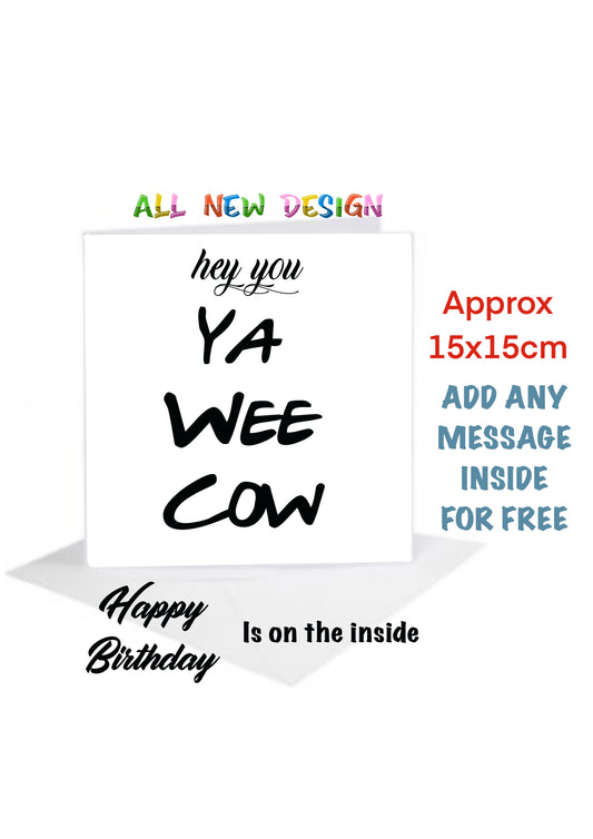 Cheeky funny Birthday Cards  46